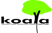 Koala – Elagage Arbre – Paris, 91, 92, 78